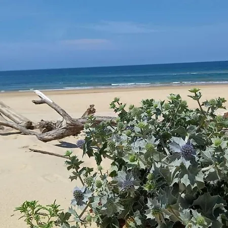 Beautiful 3 With Terrace Near The Ocean *