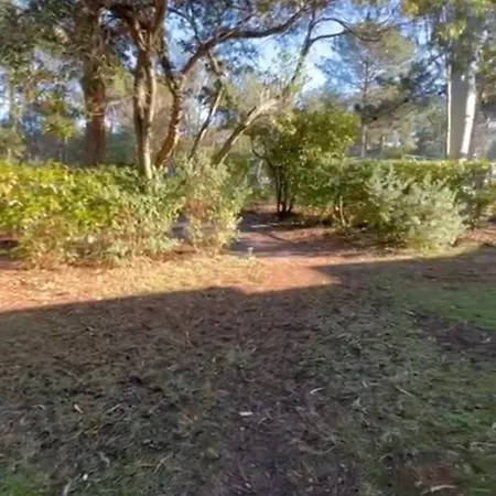 Appartamento Beautiful 3 With Terrace Near The Ocean