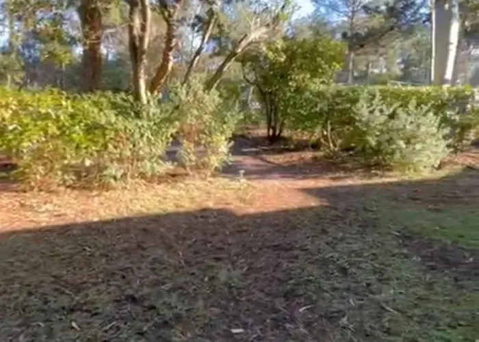 Appartement Beautiful 3 With Terrace Near The Ocean