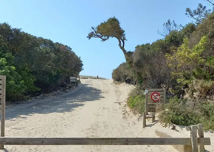 Appartement Beautiful 3 With Terrace Near The Ocean
