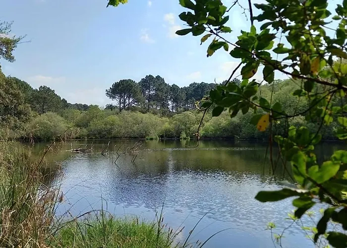 Appartement Beautiful 3 With Terrace Near The Ocean